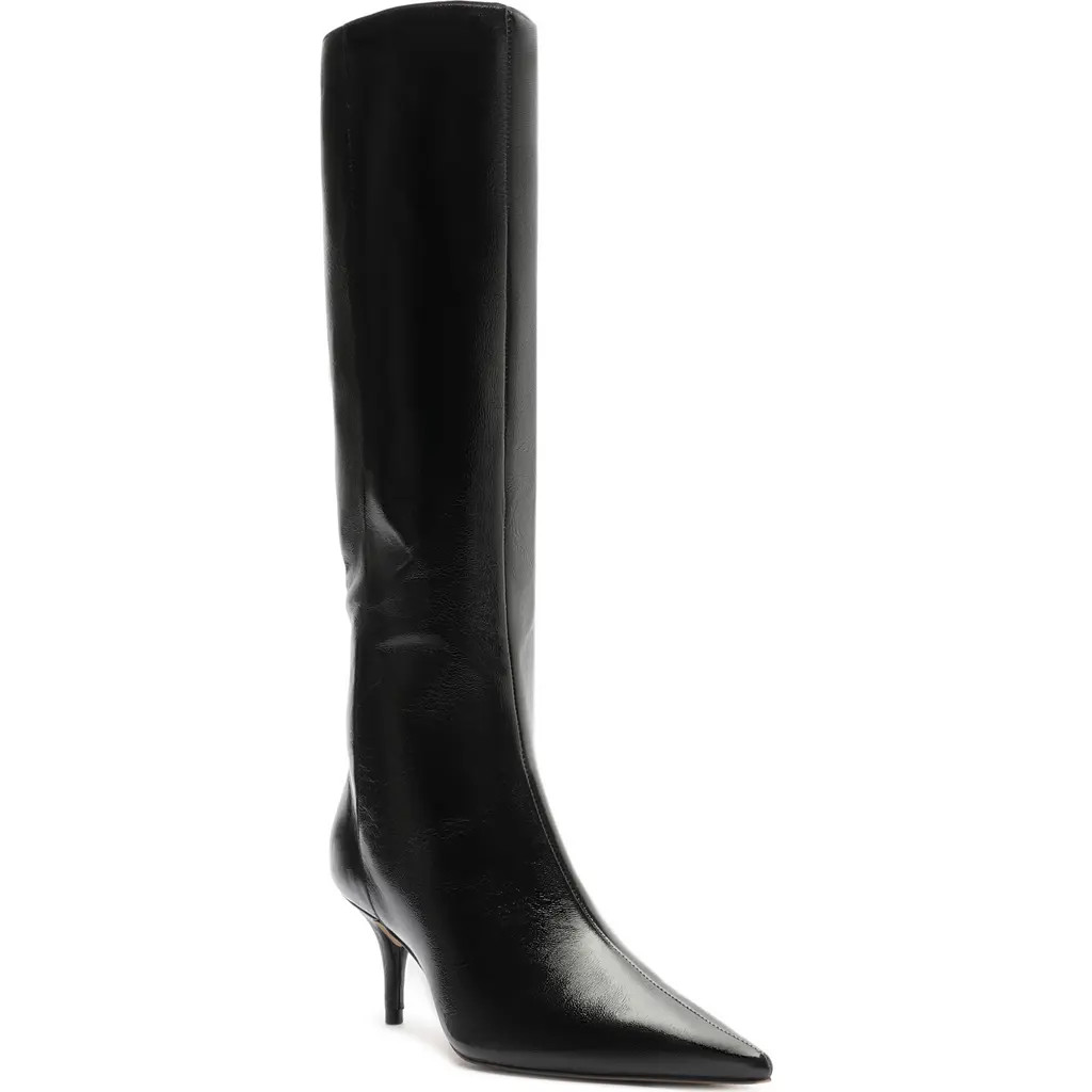 Arezzo Sasha Pointed Toe Knee High Boot in Black at Nordstrom, Size 11 | Nordstrom