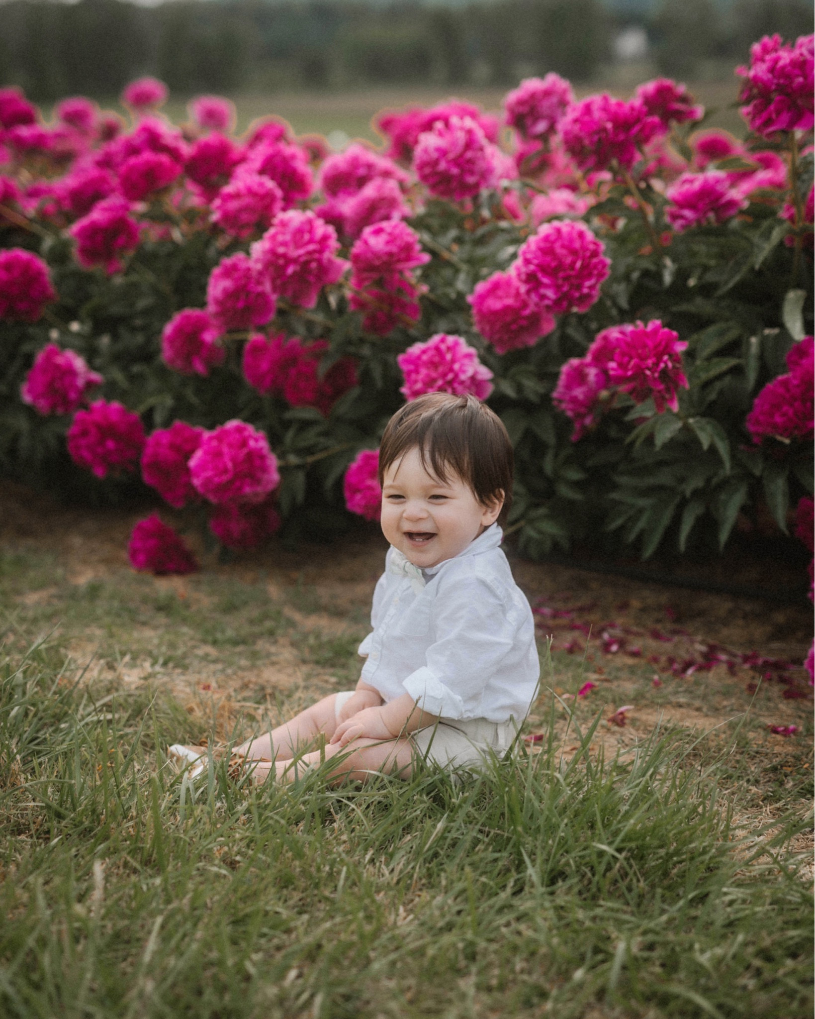 Boy Linen shirt & khaki pants 

#LTKkids #LTKbaby #LTKfamily