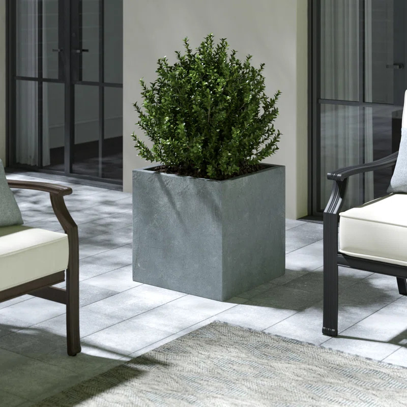 Concrete Pot Planter | Wayfair Professional