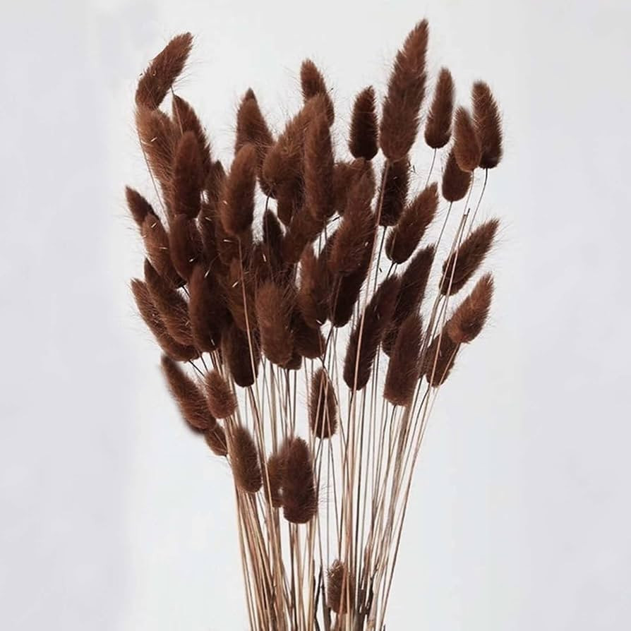 120pcs Bunny Tail Pampas Grass Dried Flowers for Vase Boho Flowers Dried Babys Breath Wedding Dec... | Amazon (US)