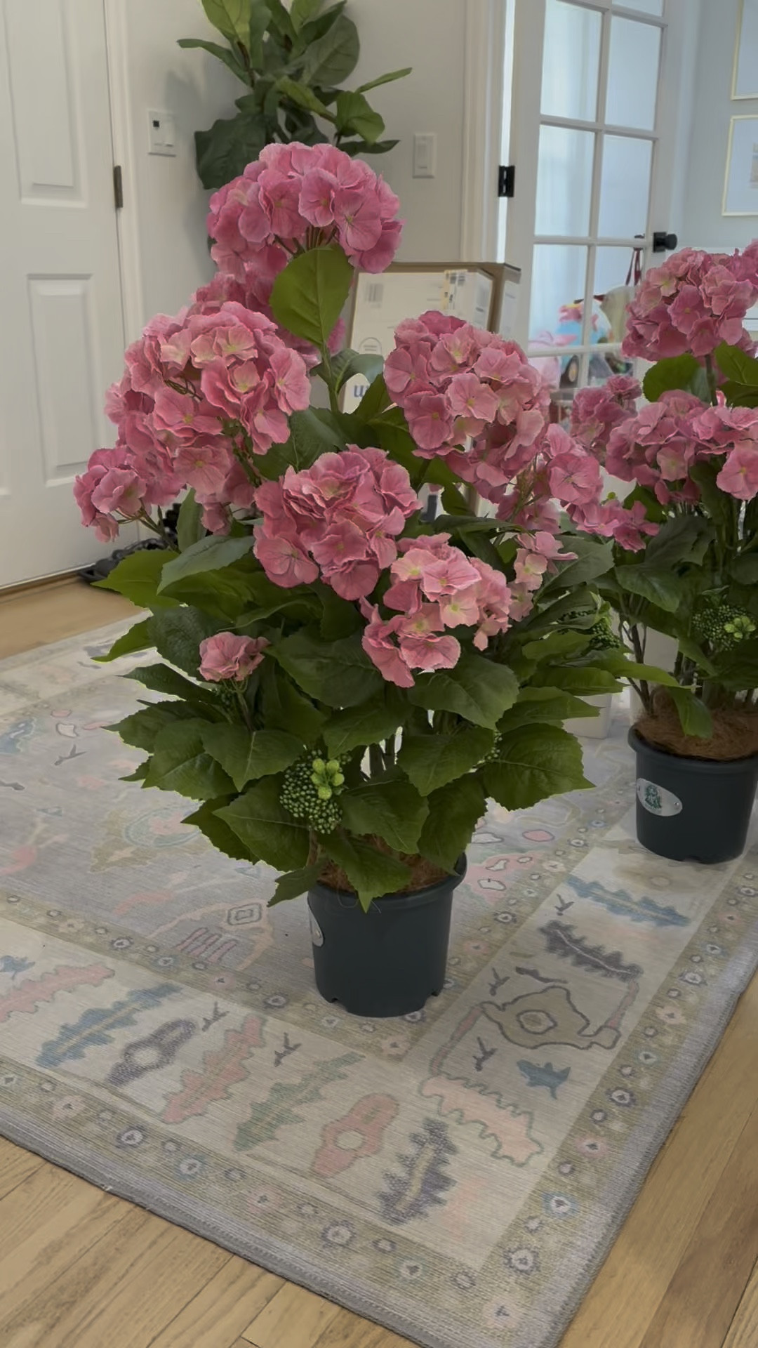 3ft. Tall outdoor faux hydrangea potted drop in plants  

#LTKHome #LTKFindsUnder100 #LTKSeasonal
