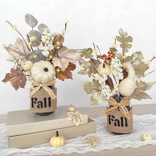 2 Pack 13.5 Inch Fall Decorations for Home Fall Table Centerpieces with 20 LED Lights Timer, Mason Jar with Maple Leafed Pumpkins Berried Thanksgiving Fall Home Decor for Table Coffee Table Bathroom | Amazon (US)