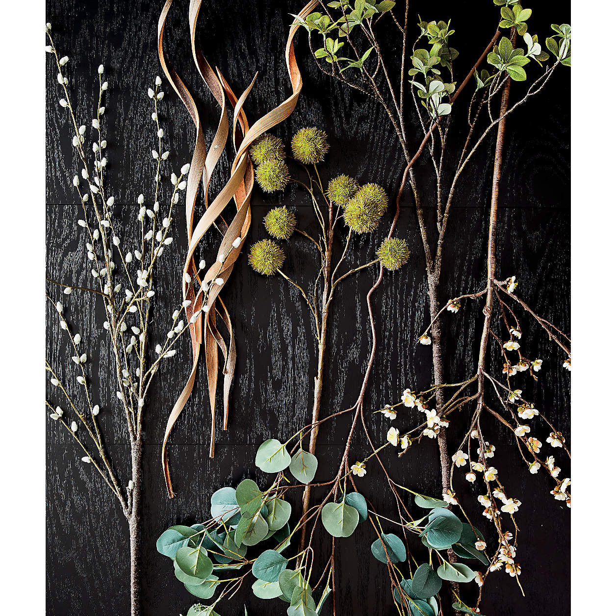 Small Faux Silver Dollar Eucalyptus Stem + Reviews | Crate & Barrel | Crate & Barrel