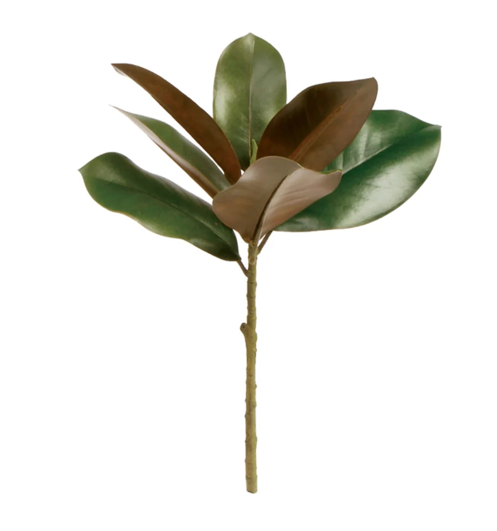 Magnolia Spray | House of Blum