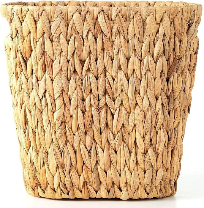 Rlosjin Wicker Trash Can, Bathroom Waste Bin with Built-in Handle Trash Bin, Hand-Woven Water Hya... | Amazon (US)