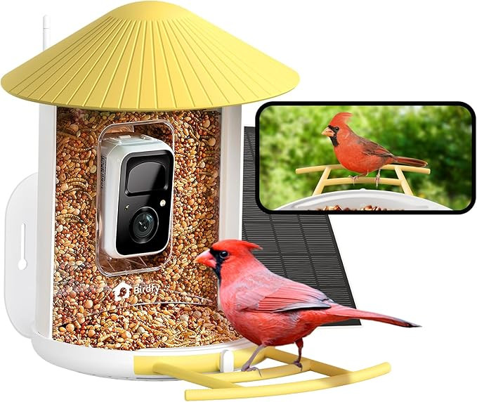 NETVUE by Birdfy Smart Bird Feeder with Camera, Bird Watching Camera, Auto Capture Bird Videos & ... | Amazon (US)