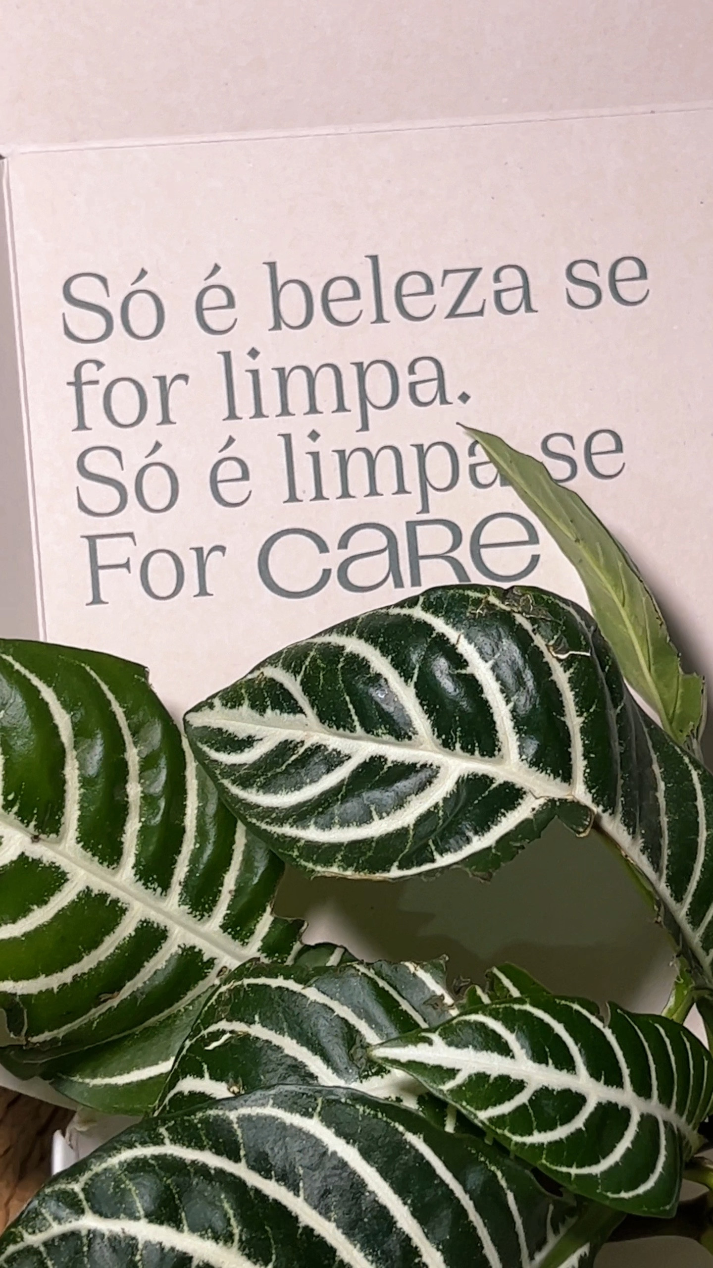 A CARE tem produtos make e skincare, ou os dois juntos, como é o caso do sérum facial iluminador. É uma empresa de maquiagem natural de alta performance e produtos de skincare veganos multifuncionais, sendo a primeira marca de beleza brasileira com o selo EWG.

#LTKbeleza #LTKfamilia #LTKbrasil