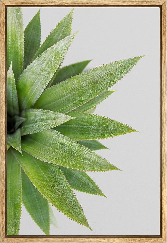 SIGNWIN Framed Canvas Print Wall Art Set Southwest Desert Tropical Green Star Succulent Floral Bo... | Amazon (US)