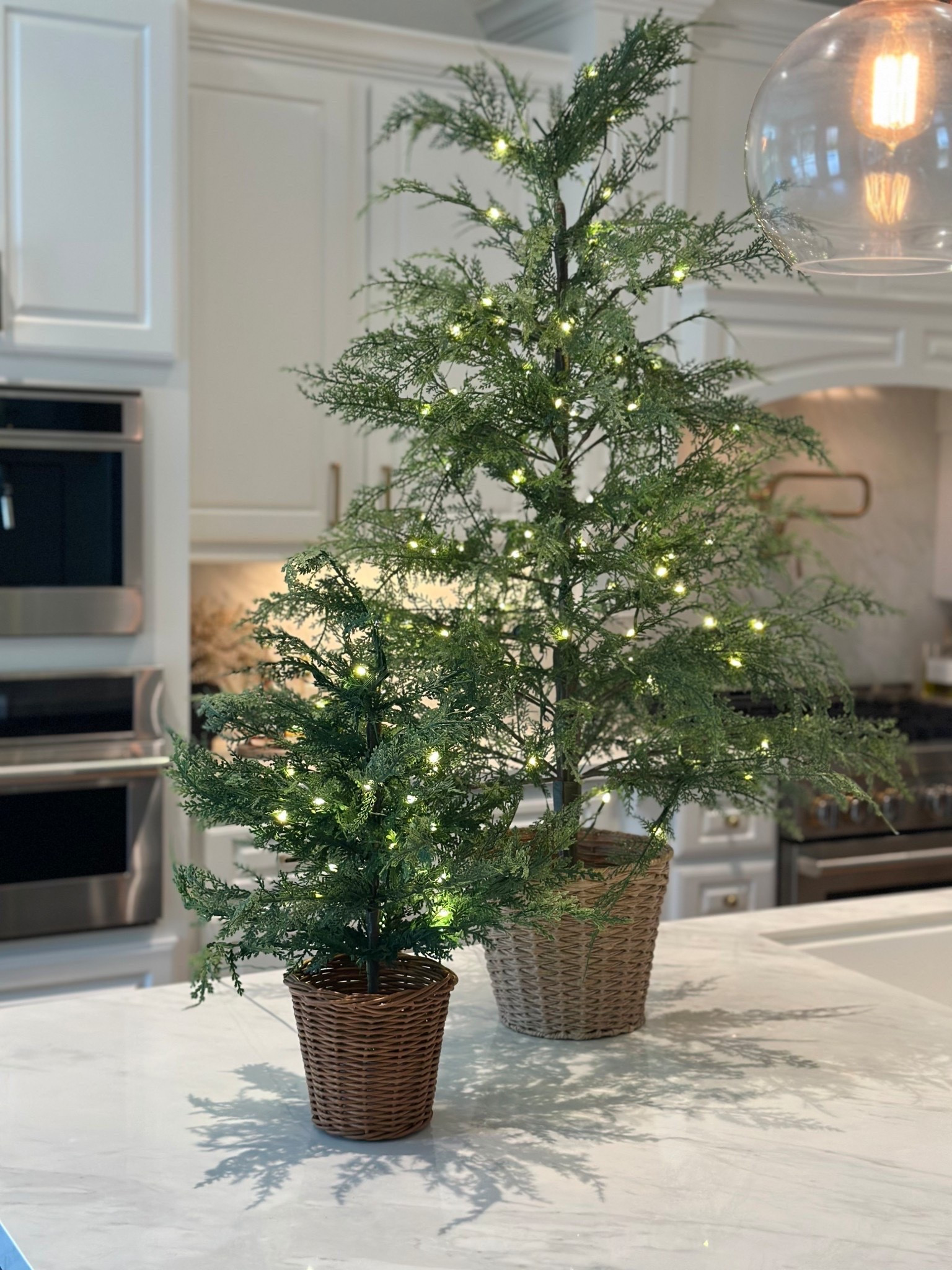 These are always a favorite every year!🌲

My Texas House
Cypress tree
Christmas tree
Christmas decor

#LTKSeasonal #LTKHome