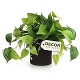 Faux Plants Indoor, Artificial Plants for Home Decor Indoor, Pothos Small Fake Plants - Fake Plants  | Amazon (US)