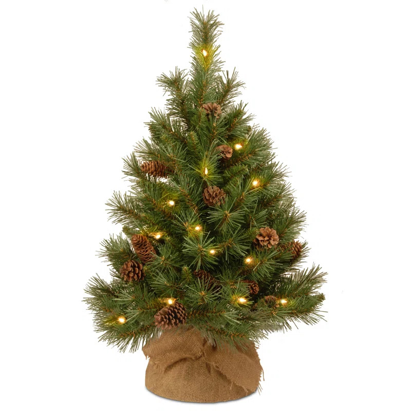 3' Lighted Artificial Pine Christmas Tree | Wayfair North America