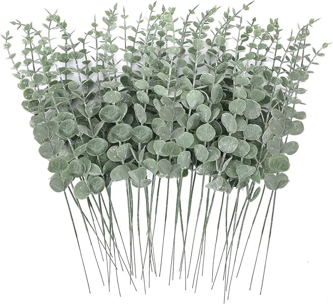 Visit the CEWOR Store | Amazon (US)