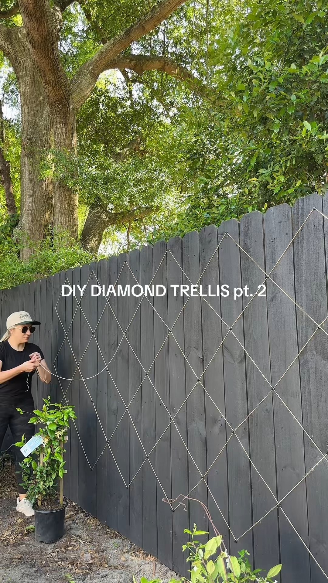 What I used to install our diamond trellis! ⚒️🌿🌸

#LTKSeasonal #LTKHome #LTKFindsUnder100