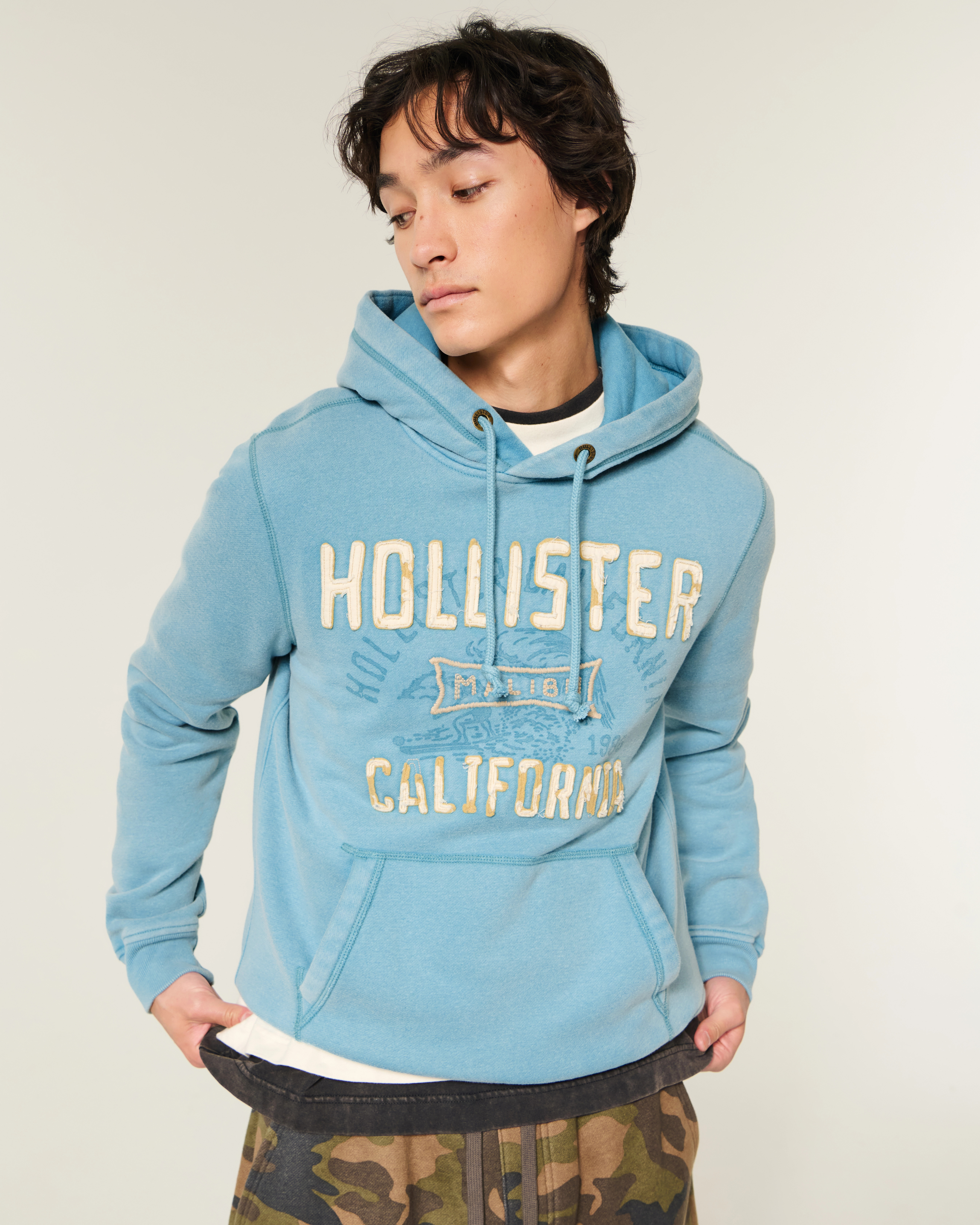 Washed Logo Graphic Hoodie | Hollister (US)