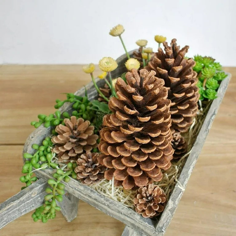 5Pcs Christmas Natural Pine Cones - Christmas Pinecones Ornaments for DIY Crafts, Home Decoration... | Walmart (US)