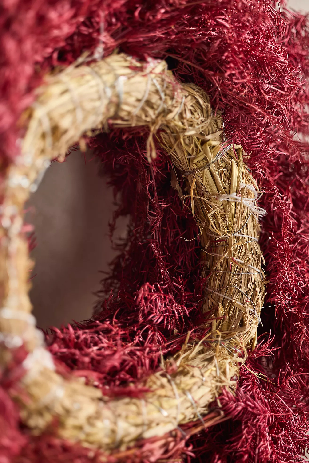 Burgundy Setaria Dried Wreath | Anthropologie (US)