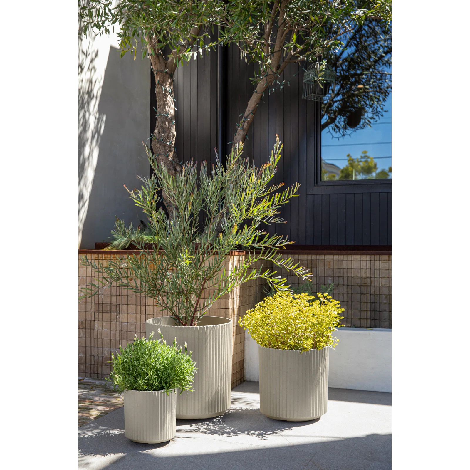Veradek Demi Series Round Planter Set of 3 & Reviews | Wayfair | Wayfair North America