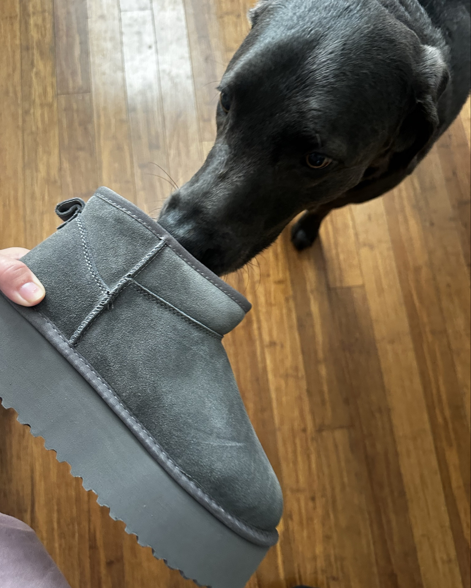 Found some great Project Clouds that are perfect look a-likes for Uggs. Loving the platform on both #fall #fallfashion #fallshoes 

#LTKFindsUnder100 #LTKSeasonal #LTKShoeCrush