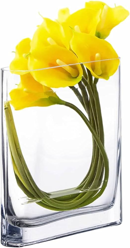 CYS EXCEL Glass Rectangle Vase (H:8" Open:7"x2") | Multiple Size Choices Round Edge Oval Flower V... | Amazon (US)