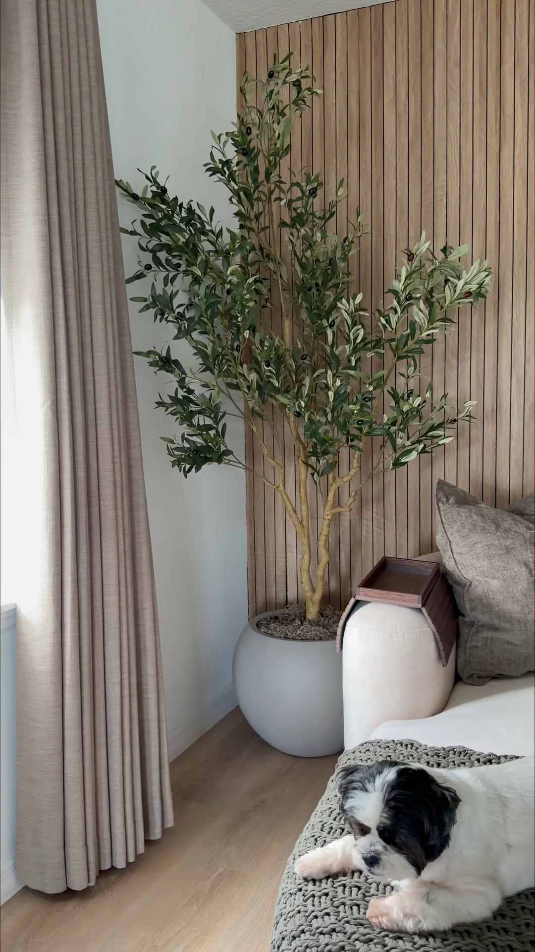 The perfect planter for large plants! Also available in different sizes 🫶😍



Indoor & outdoor planters | faux plants | home decor | modern home | amazon finds | luxe for less | style tips | interior design | crate and barrel | living room refresh | small spaces | decor DIYs

#LTKHome