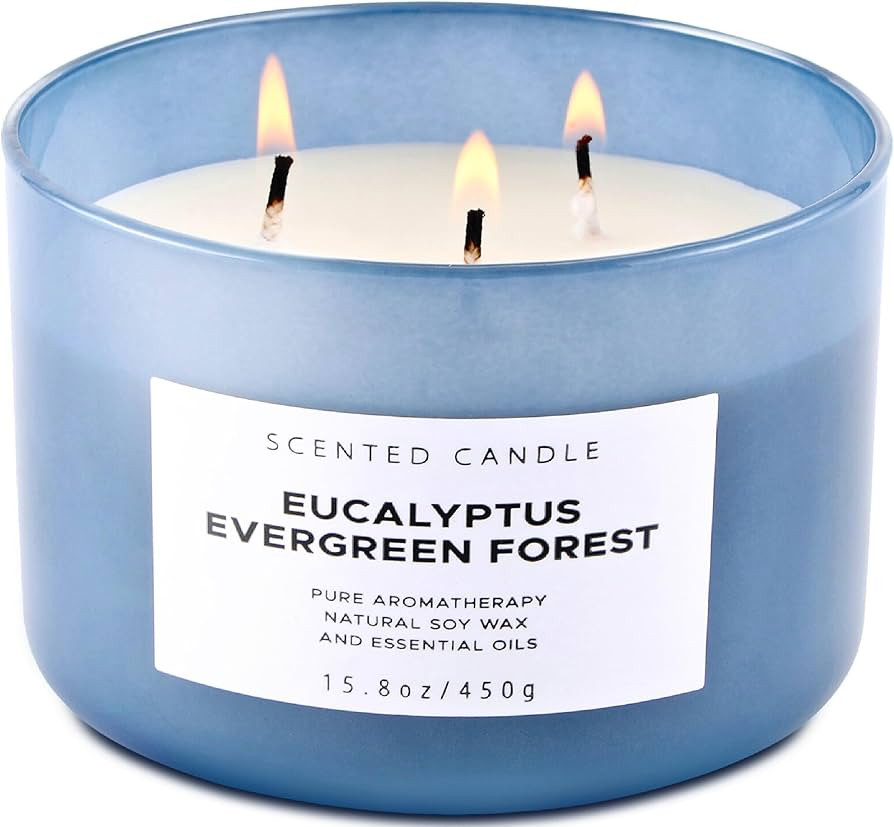 Eucalyptus Evergreen Forest 3-Wick Soy Candle, 15.8 oz | Winter Pine, Balsam Fir & Evergreen Scen... | Amazon (US)