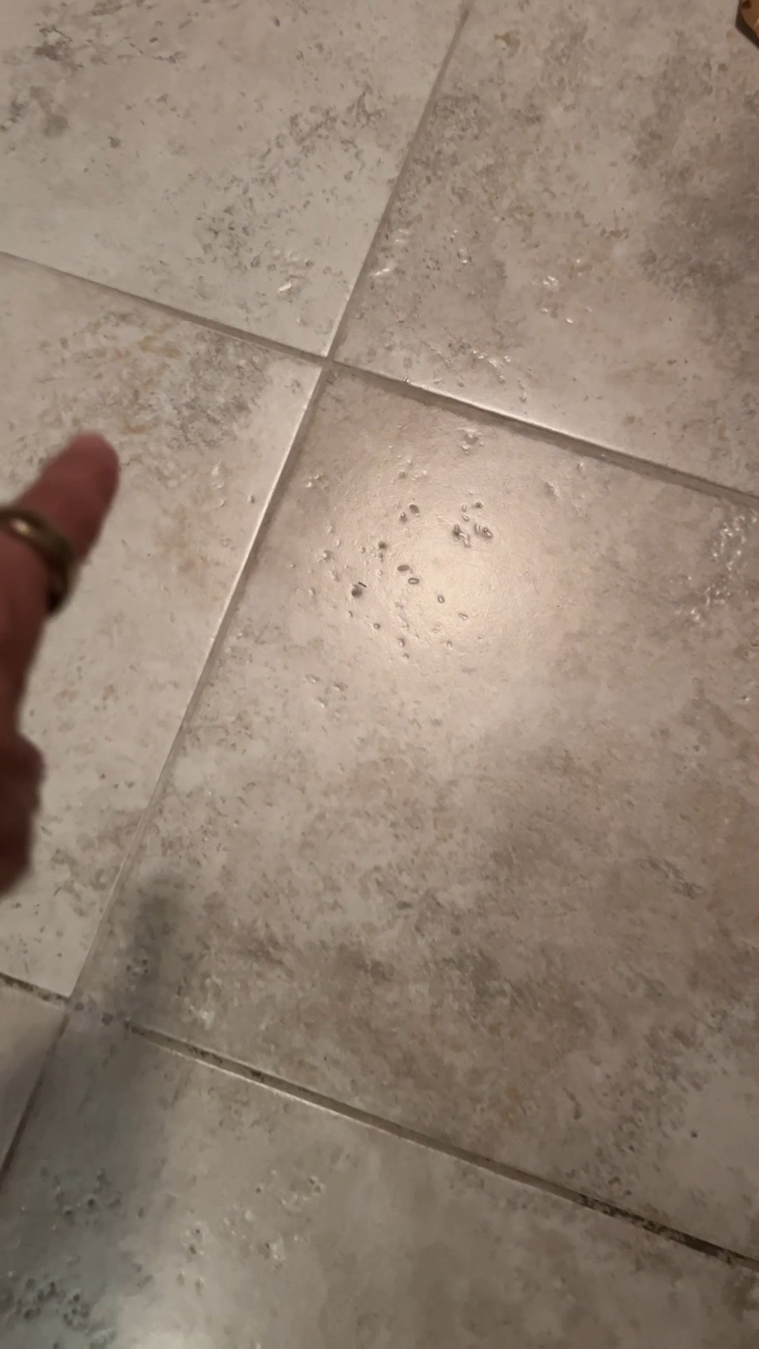 Tile grout cleaner that actually works for your bathroom tile!! Highly recommend 10/10

#LTKStyleTip #LTKHome #LTKFindsUnder50