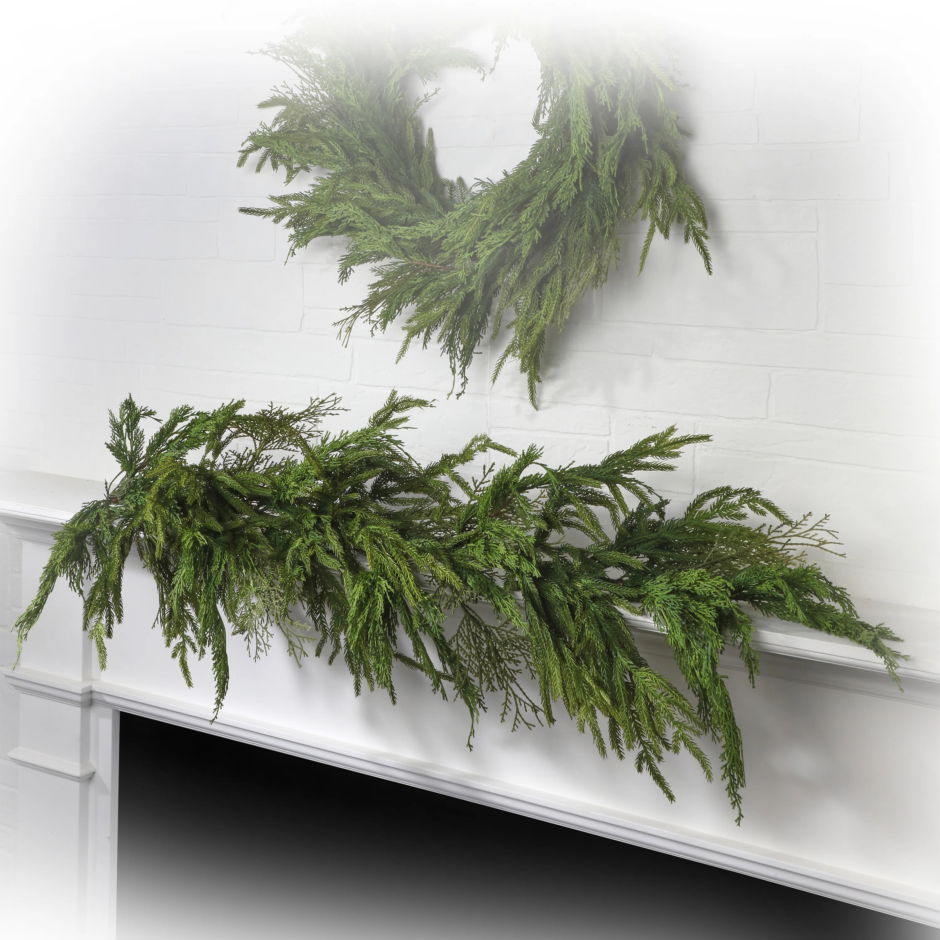4' Natural Touch Cyprus & Norfolk Pine Garland | Wayfair North America