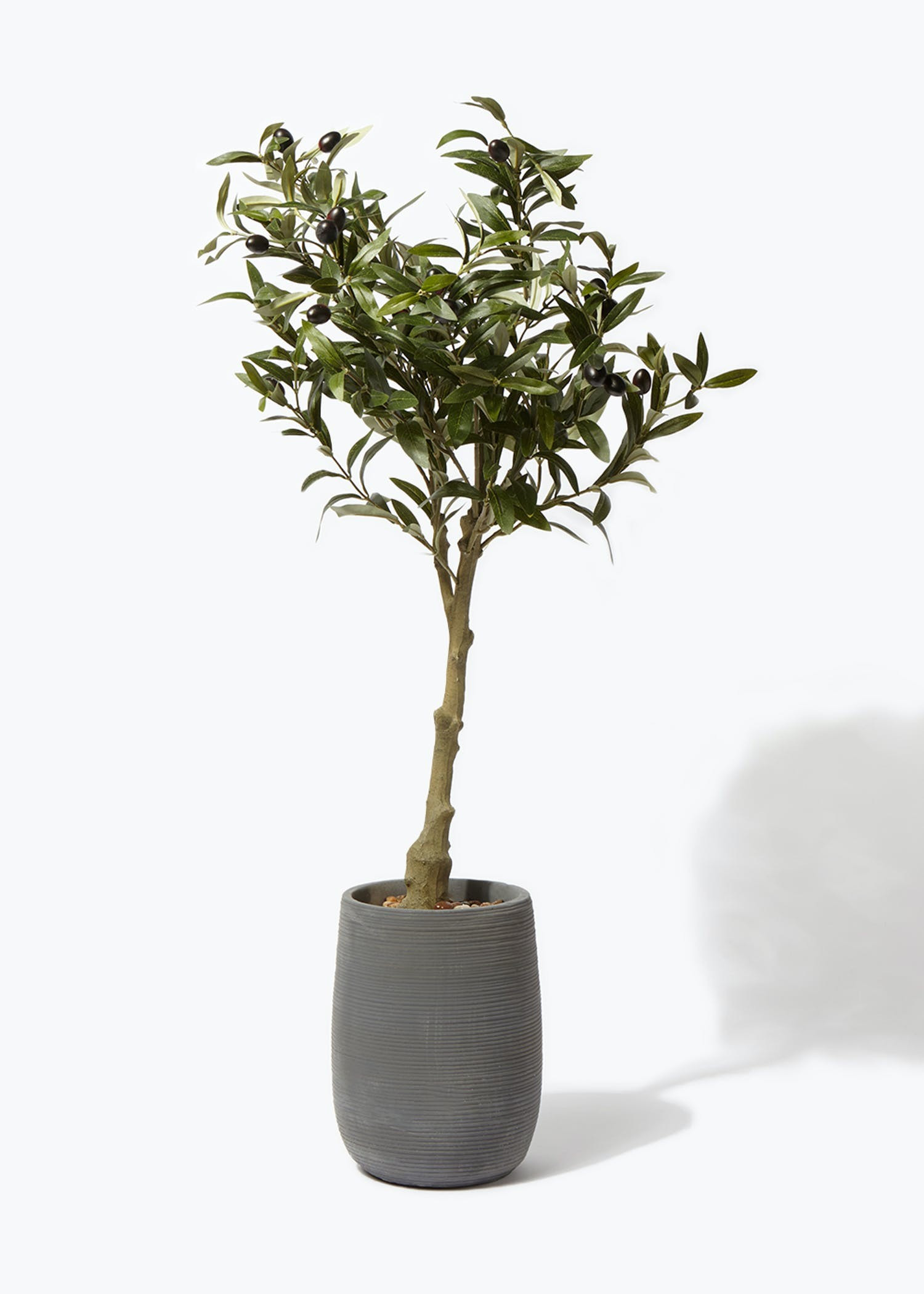 Olive Topiary Tree in Grey Pot (40cm x 35cm x 102cm) – Dark Grey | Matalan (UK)