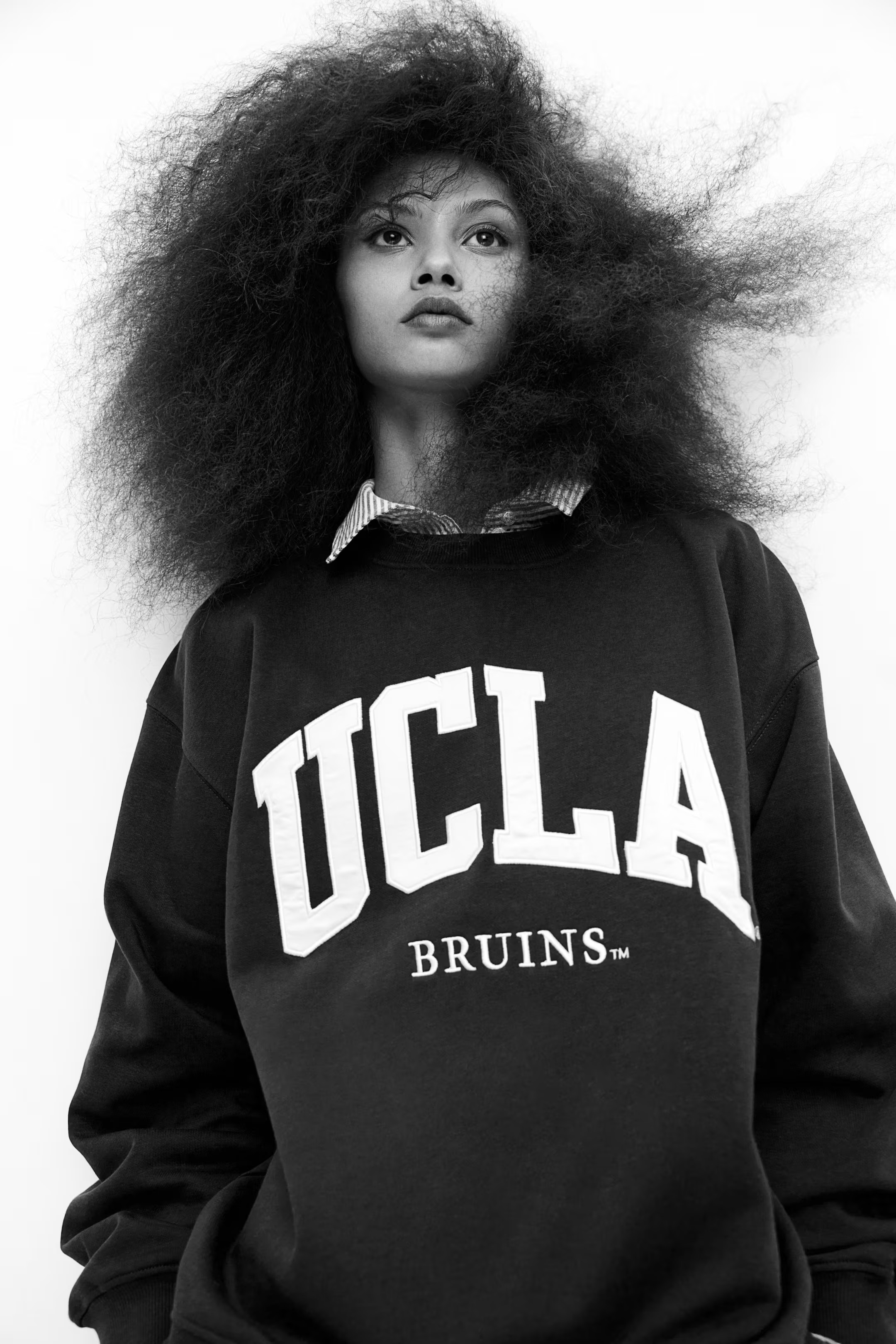 Sweatshirt with Motif - Navy blue/UCLA Bruins - Ladies | H&M US | H&M (US + CA)