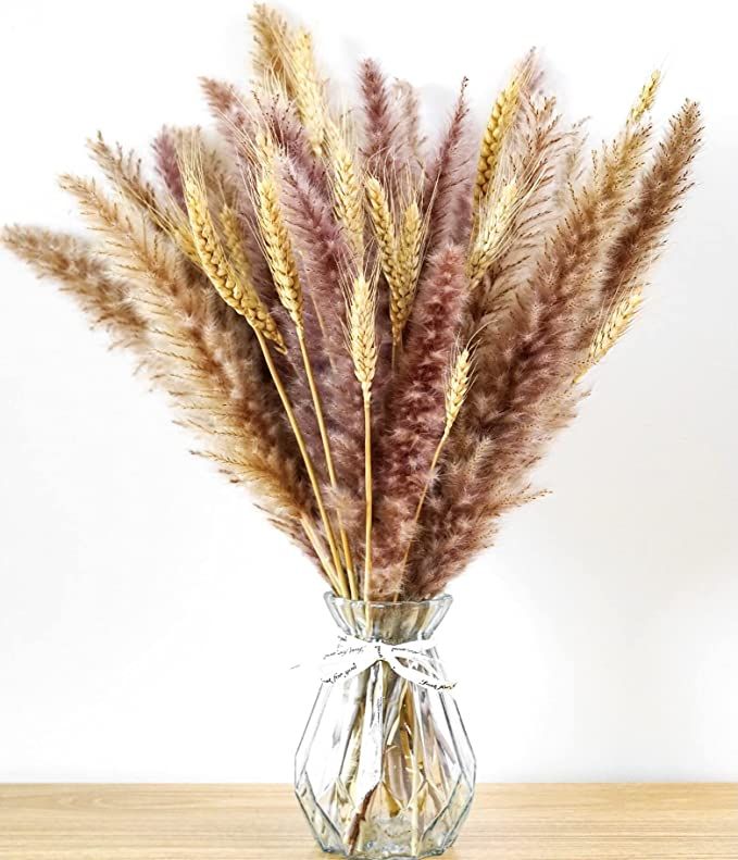 Pampas Grass Dried Wheat Bouquet-17in Dried Flowers for Vase| Bohemian Decor| Dried Floral| Dried... | Amazon (US)