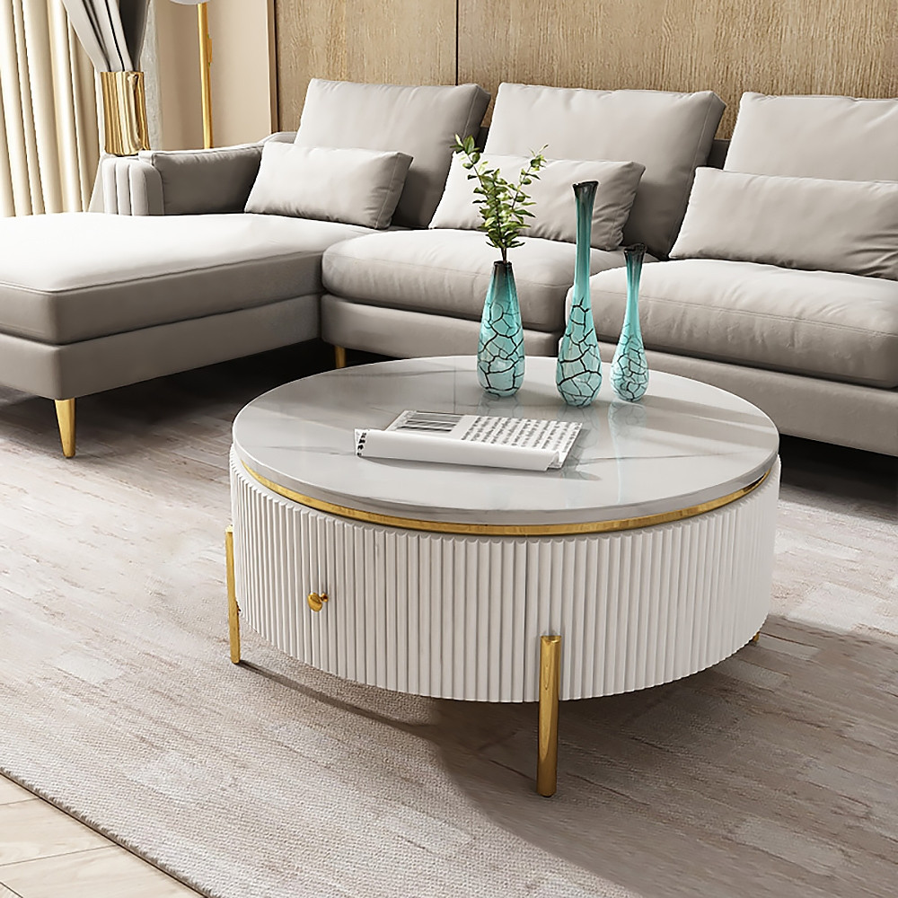 Yelly Modern Round Coffee Table with Storage Sintered Stone Accent Table Stainless Steel in Gold | Homary