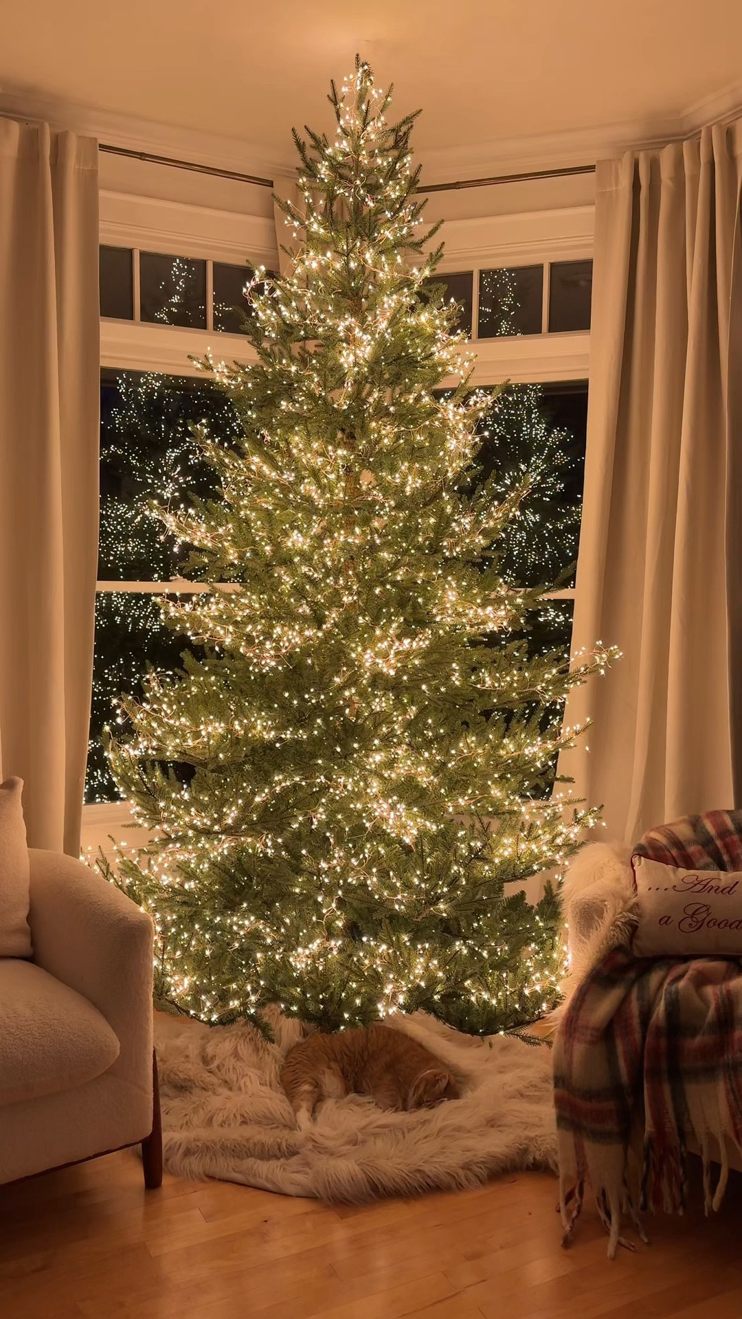 Shop my twinkle fairy lights! 🌲🧚🏻✨

I used 6 strands on a 9ft tree 😵‍💫🫣
I’ve also linked some more affordable options! Just be aware- NOT ALL OF THESE OPTIONS TWINKLE!!!

#LTKSeasonal #LTKHoliday #LTKVideo