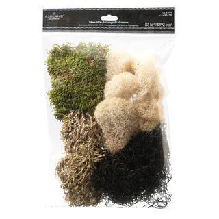 Black Reindeer Moss Mix by Ashland® | Michaels | Michaels Stores