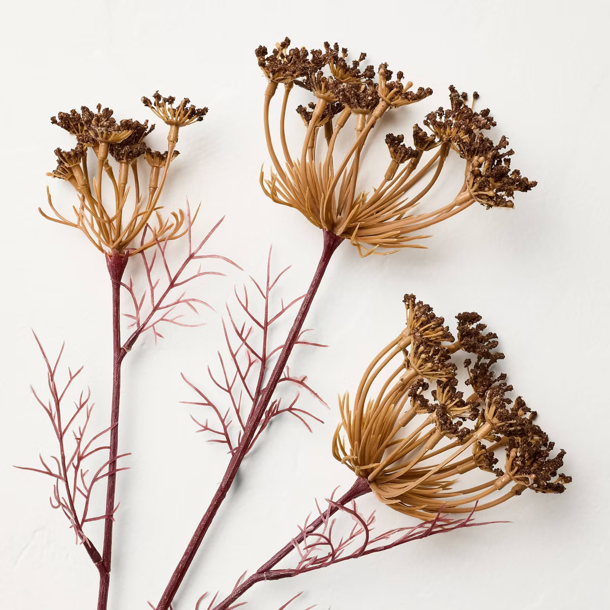 25" Faux Queen Anne's Lace Wildflower Mauve Fall Stem - Hearth & Hand™ with Magnolia | Target