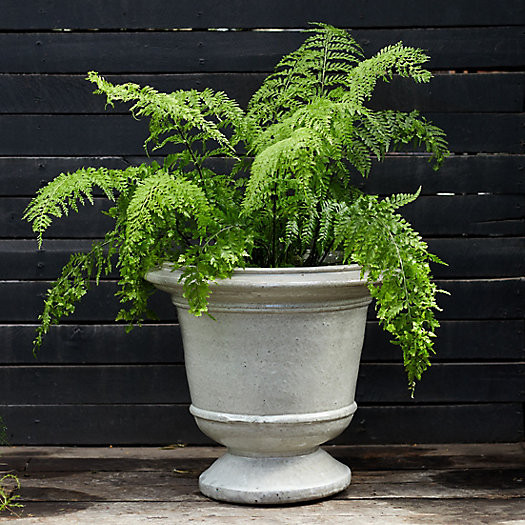 Aeros Ceramic Urn, 23" | Terrain