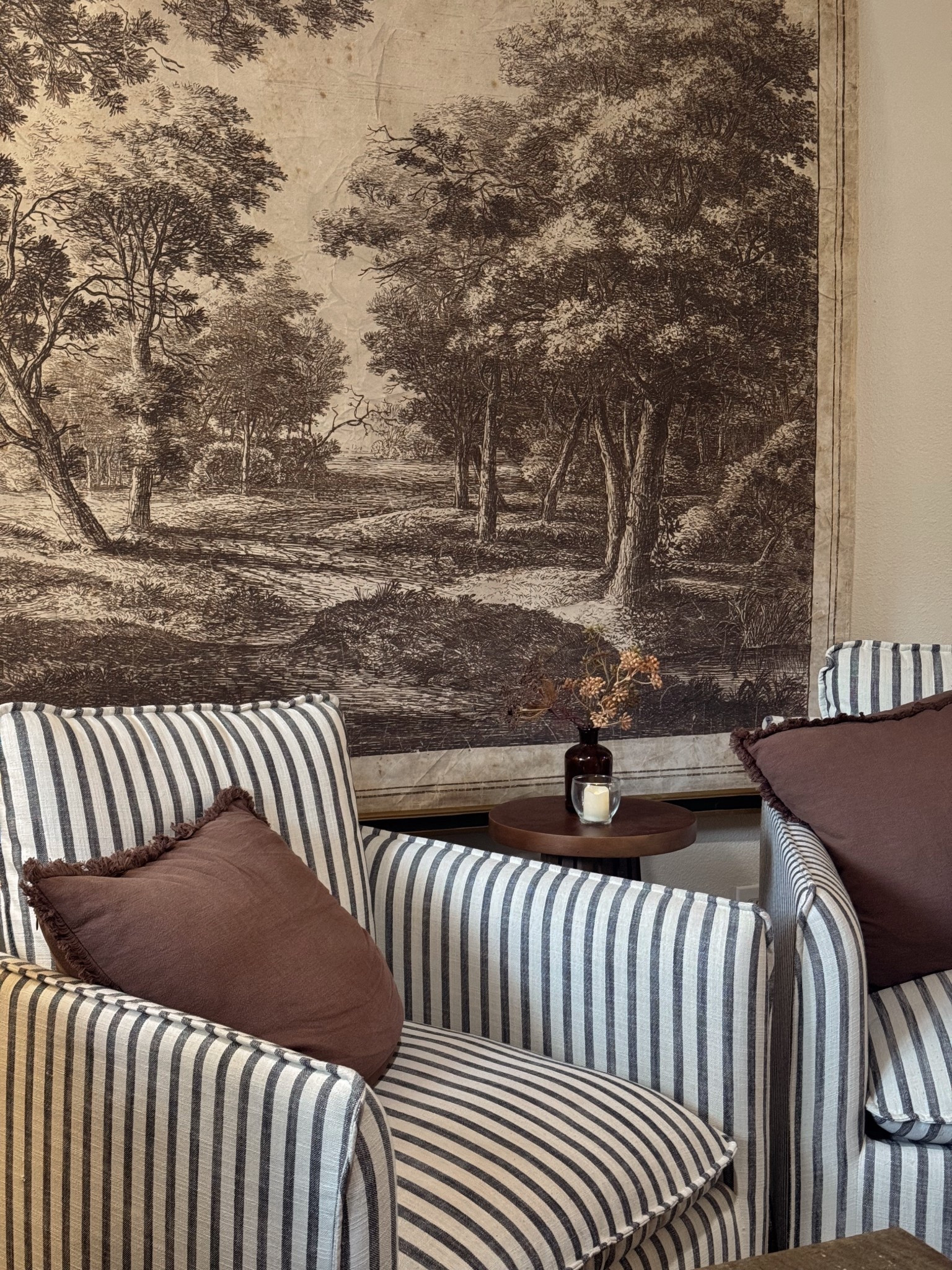 Cozy comfy living room inspo 