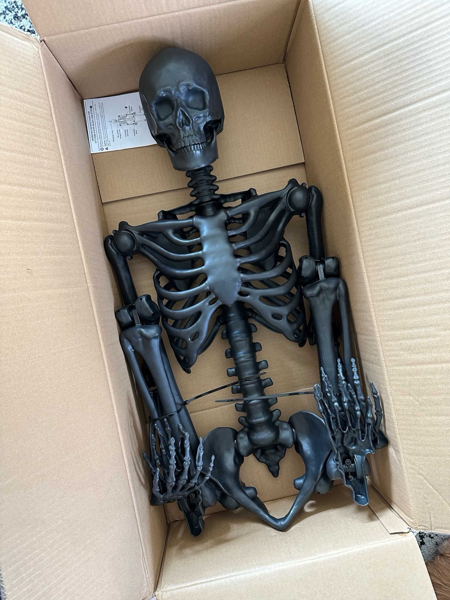 My  5 foot posable black skeleton came in too!! Only $30!

Walmart home, Halloween decor, Walmart finds, Halloween inspo 

#LTKFindsUnder50 #LTKHome #LTKSeasonal