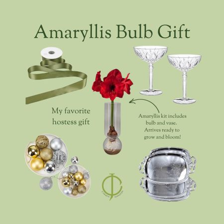 Amaryllis Bulb Gift 

#LTKHoliday #LTKSeasonal #LTKGiftGuide