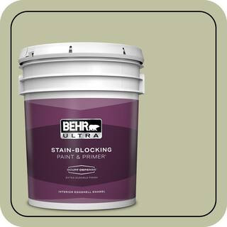 5 gal. #S370-3 Sage Brush Extra Durable Eggshell Enamel Interior Paint & Primer | The Home Depot
