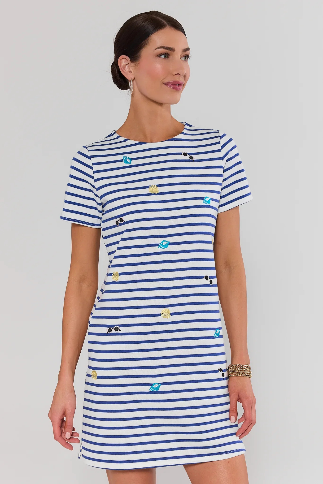 Blue Stripe Embroidered Shirt Dress | Avara