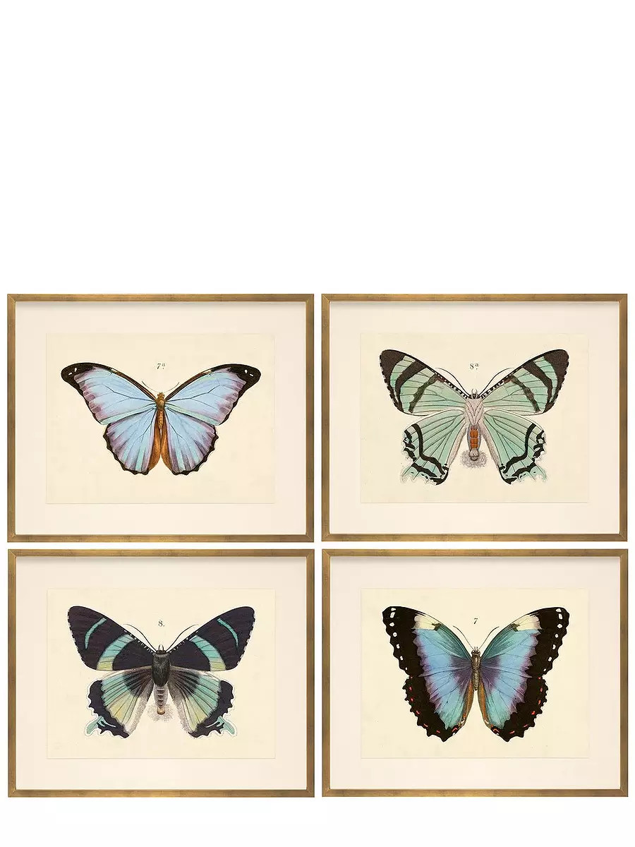 "Butterfly Series" by Whalebone Creek | Serena and Lily