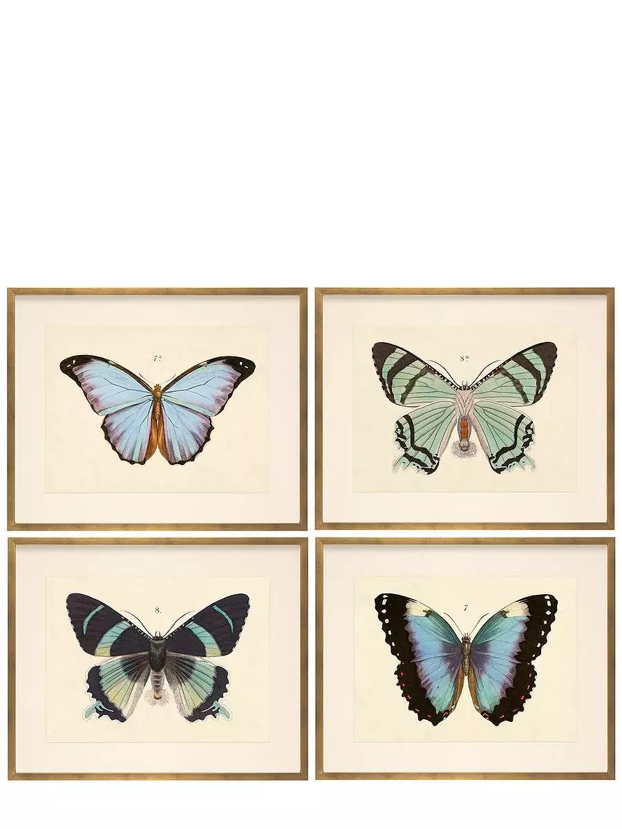 "Butterfly Series" by Whalebone Creek | Serena and Lily