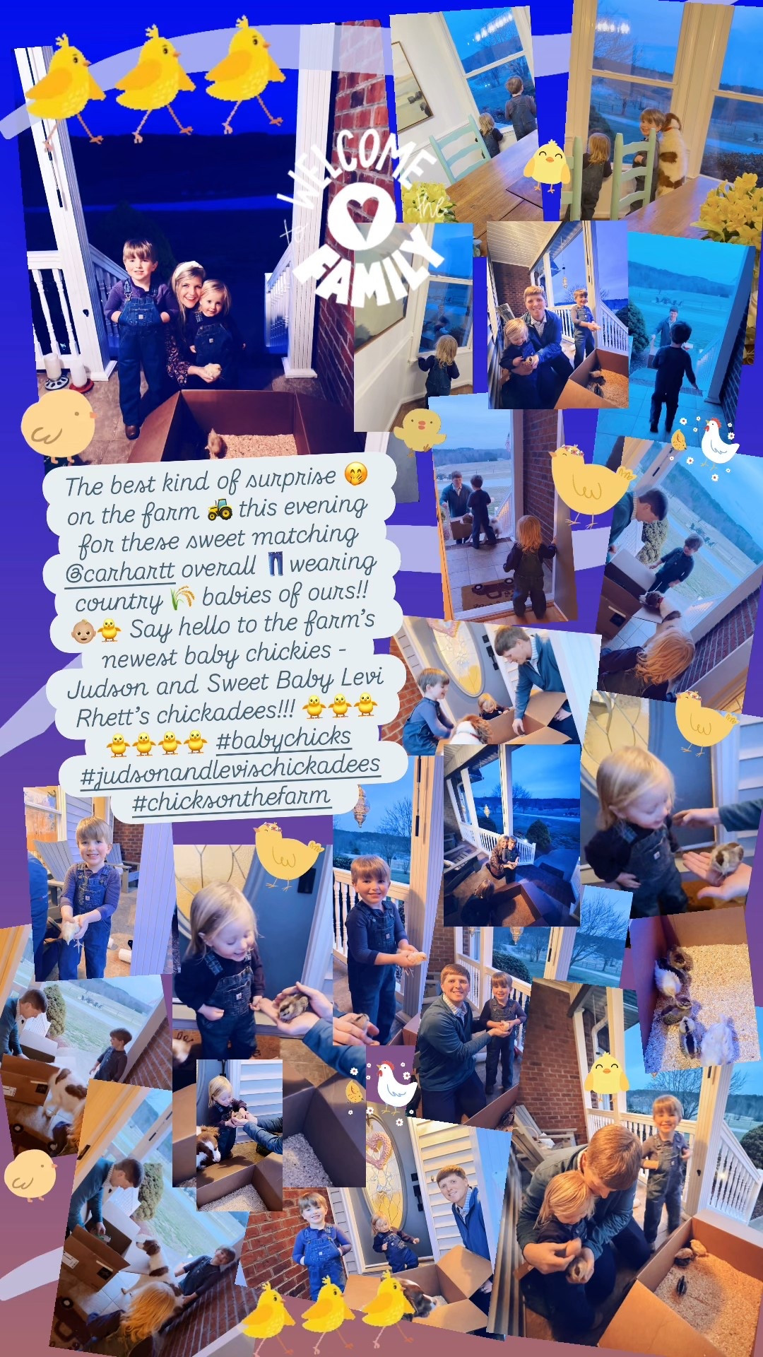 The best kind of surprise 🤭 on the farm 🚜 this evening for these sweet matching @carhartt overall 👖wearing country 🌾 babies of ours!! 👶🏼🐥 Say hello to the farm’s newest baby chickies - Judson and Sweet Baby Levi Rhett’s chickadees!!! 🐥🐥🐥🐥🐥🐥🐥 #babychicks #judsonandlevischickadees #chicksonthefarm 