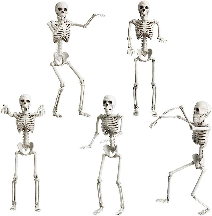 Halloween Skeleton Decorations Full Body - 5 Pack 16" Life Size Posable Joints Skeletons Hallowee... | Amazon (US)