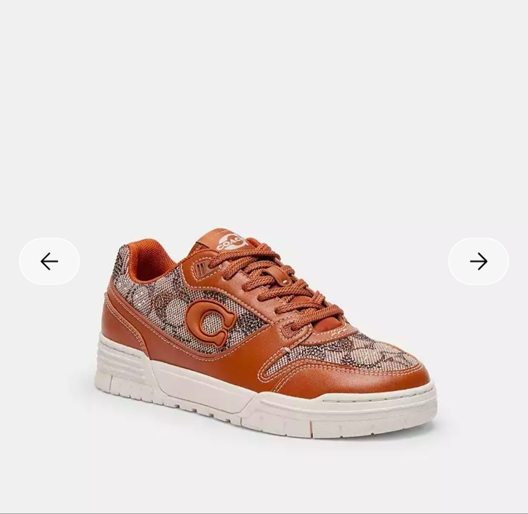 Coach has officially dropped brown crystals sneakers! 

#LTKHoliday #LTKGiftGuide #LTKU