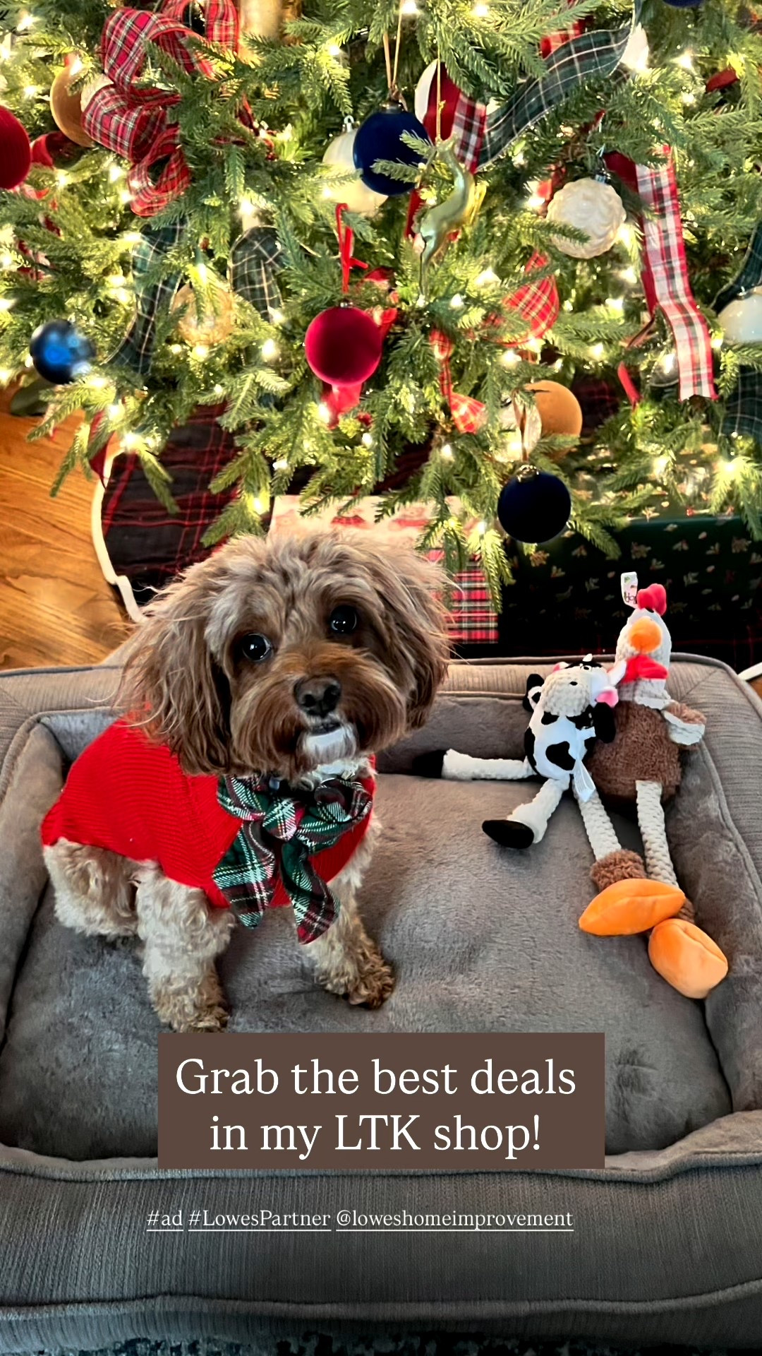🎄🐾 Don’t forget the cutest member of the family this Black Friday! #ad #LowesPartner @loweshomeimprovement Winnie has fully claimed her new toys and cozy bed from the Heart & Herd line at Lowe’s and honestly, I can’t blame her. Between the squeaky farm friends, the soft bolster bed, and that adorable Christmas sweater, she’s living her best holiday life. ✨ Snag these finds on major sale right now at Lowe’s. Perfect for gifting… or spoiling your own fur baby. 😉💛

#LTKCyberWeek #LTKSaleAlert #LTKHoliday