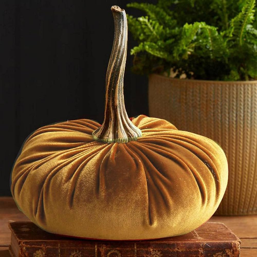 Velvet Pumkins for Decorating, Rustic Faux Velvet Pumpkins with Real Stems Fabric Pumpkins Foam P... | Amazon (US)