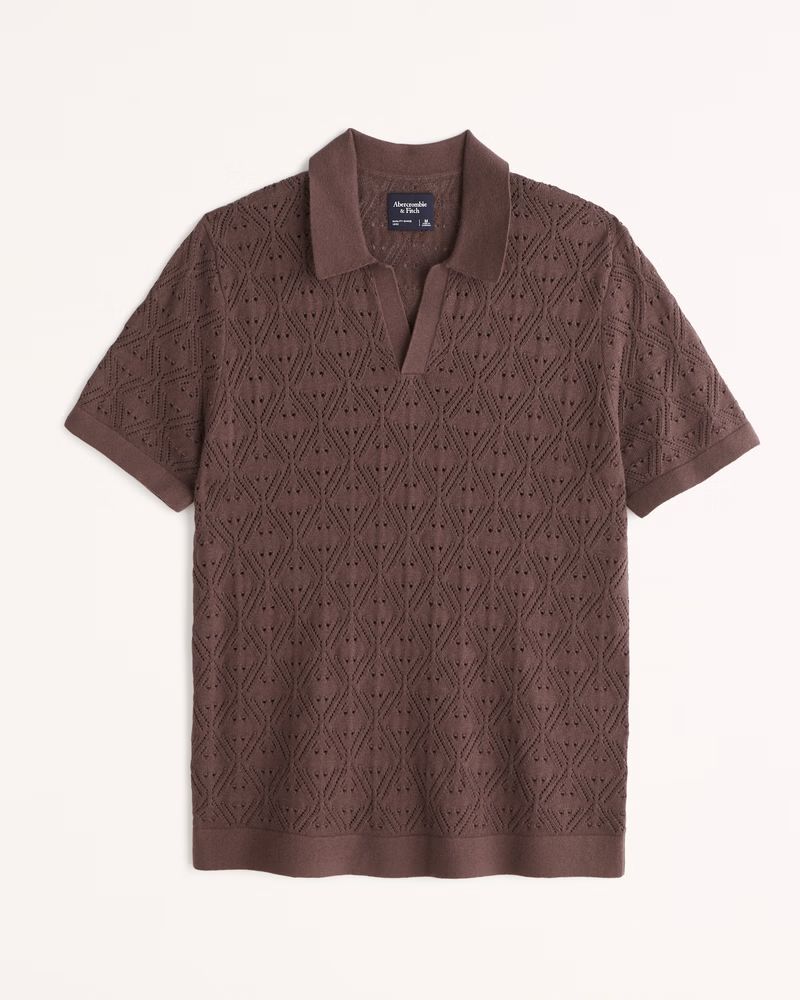 Abercrombie & Fitch Men's Crochet Johnny Collar Sweater Polo in Dark Brown - Size XL | Abercrombie & Fitch (US)