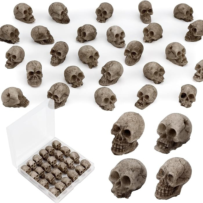 24 PCS Mini Skull Heads, Miniature Skeleton Heads Figurines, Tiny Resin Skulls for Crafts Hallowe... | Amazon (US)