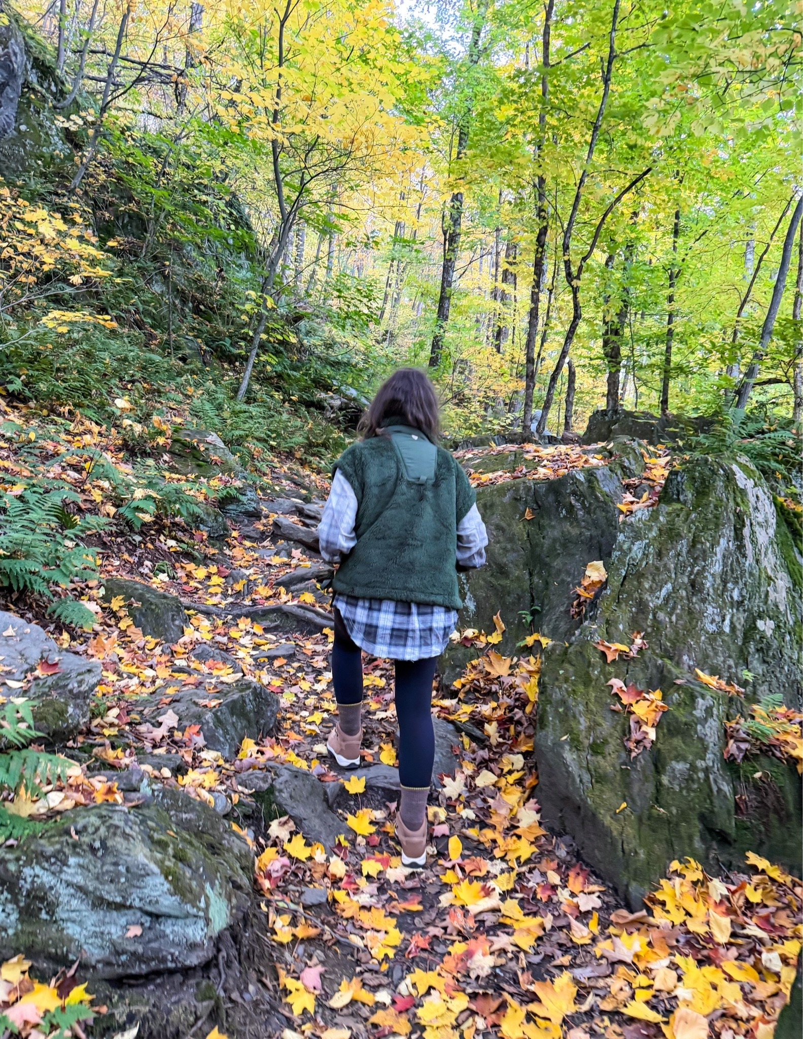 Hiking outfit

Fall outfits

#LTKootd #LTKSaleAlert #LTKSeasonal